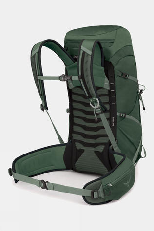 Osprey Mens Talon 33 Daypack Green Canopy/Pine Leaf